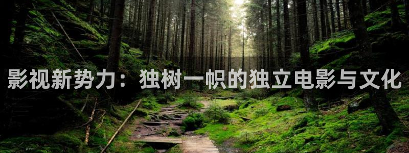 桔子视频免费