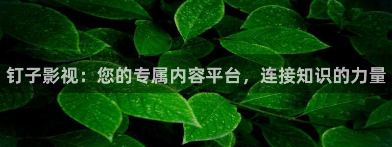 桔子传媒短视频