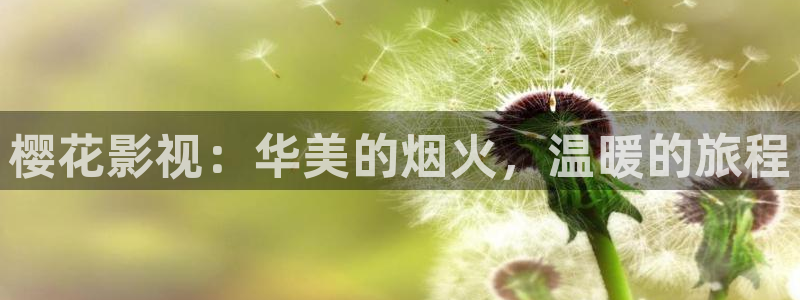 桔子mv电影在线观看免费：樱花影视：华美的烟火，温暖的旅程