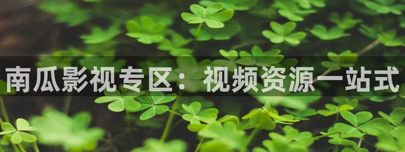 桔子照片大全大图